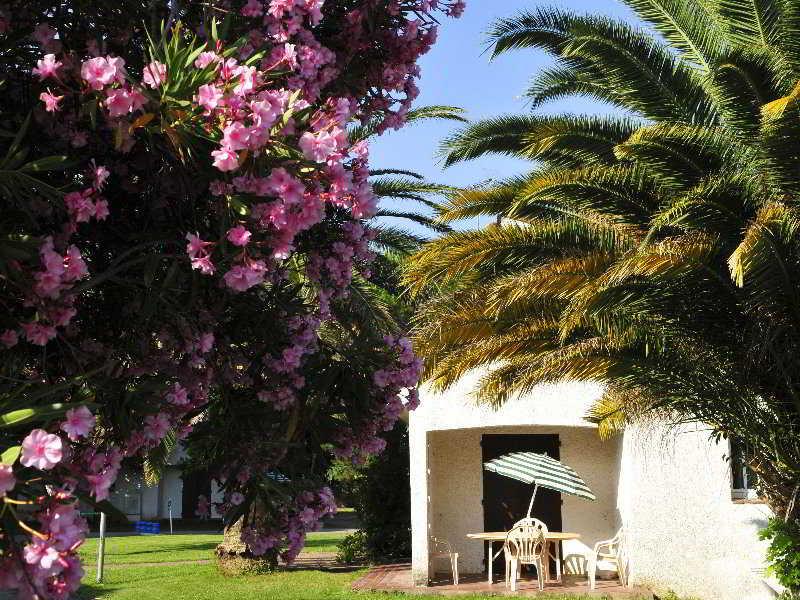 Hotel Le Domaine Du Mas Blanc By Popinns Perpignan Exterior photo