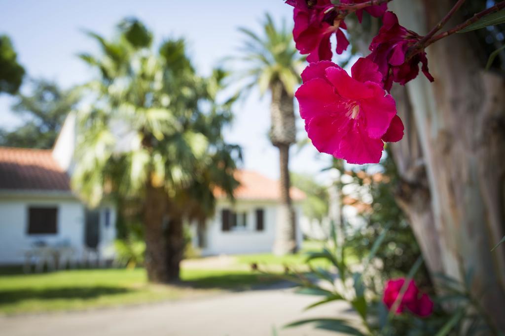 Hotel Le Domaine Du Mas Blanc By Popinns Perpignan Exterior photo